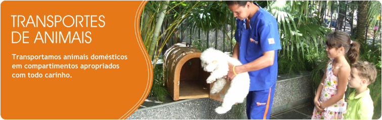 Transportes de Animais